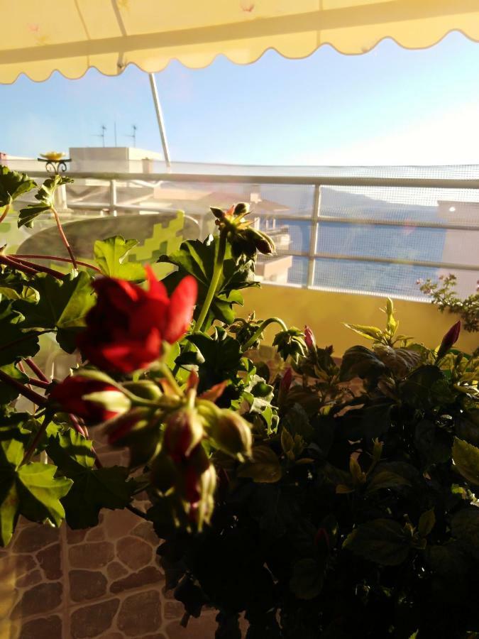Down Town Luxury Apartment Sarande Luaran gambar