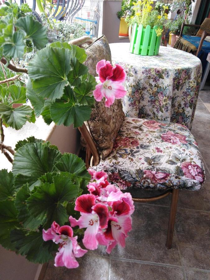 Down Town Luxury Apartment Sarande Luaran gambar